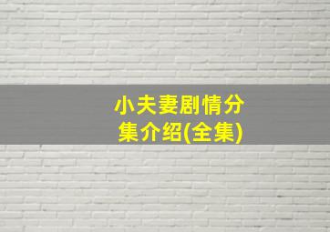 小夫妻剧情分集介绍(全集)