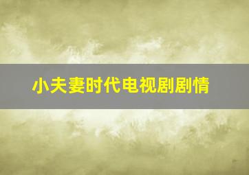 小夫妻时代电视剧剧情