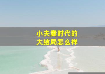 小夫妻时代的大结局怎么样