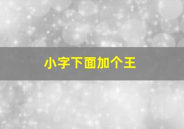 小字下面加个王