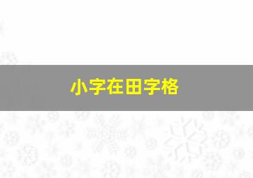 小字在田字格