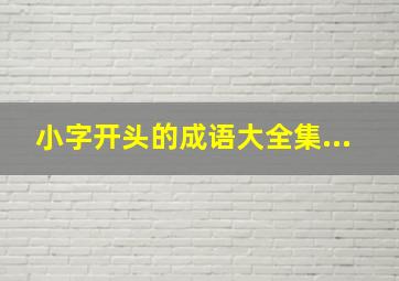 小字开头的成语大全集...