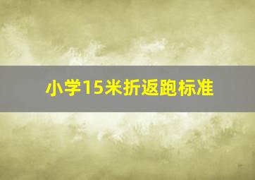 小学15米折返跑标准