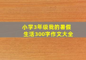 小学3年级我的暑假生活300字作文大全