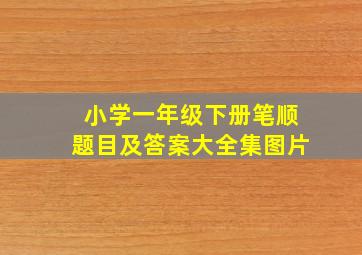 小学一年级下册笔顺题目及答案大全集图片