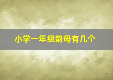 小学一年级韵母有几个