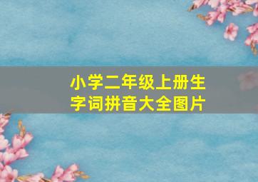 小学二年级上册生字词拼音大全图片