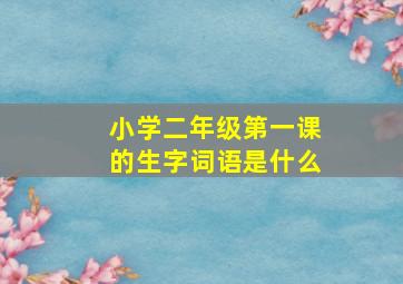 小学二年级第一课的生字词语是什么