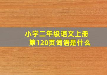 小学二年级语文上册第120页词语是什么