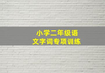 小学二年级语文字词专项训练