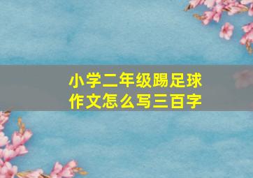 小学二年级踢足球作文怎么写三百字