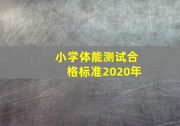 小学体能测试合格标准2020年