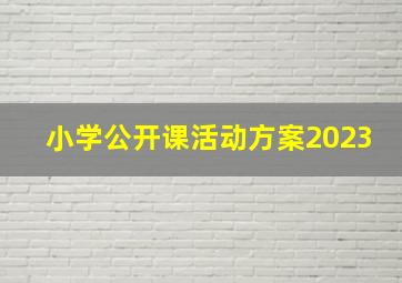 小学公开课活动方案2023