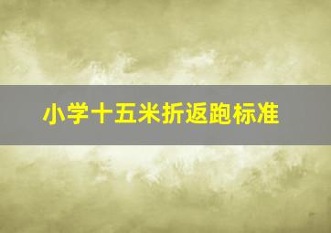 小学十五米折返跑标准