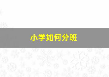 小学如何分班