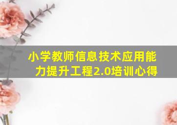 小学教师信息技术应用能力提升工程2.0培训心得