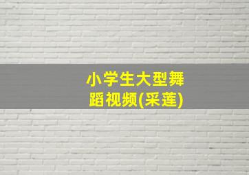 小学生大型舞蹈视频(采莲)