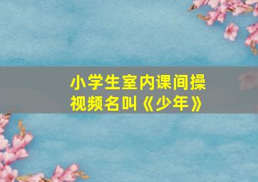 小学生室内课间操视频名叫《少年》