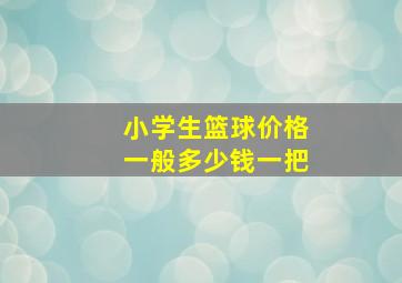 小学生篮球价格一般多少钱一把