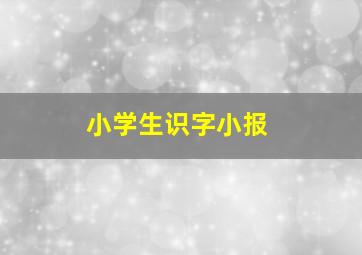 小学生识字小报