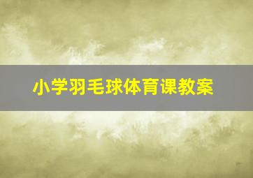 小学羽毛球体育课教案