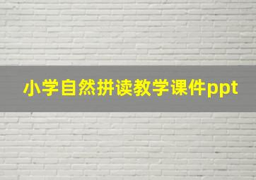 小学自然拼读教学课件ppt