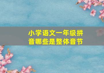 小学语文一年级拼音哪些是整体音节