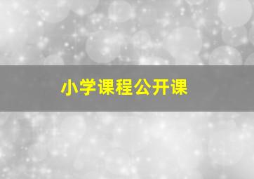 小学课程公开课