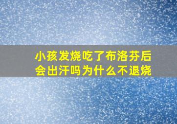 小孩发烧吃了布洛芬后会出汗吗为什么不退烧