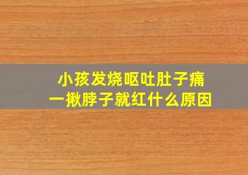 小孩发烧呕吐肚子痛一揪脖子就红什么原因