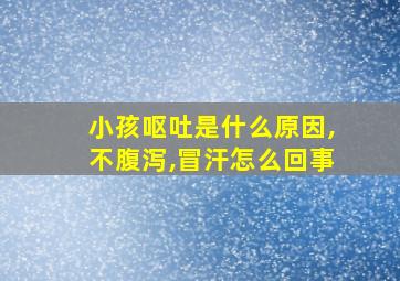 小孩呕吐是什么原因,不腹泻,冒汗怎么回事