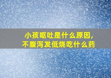 小孩呕吐是什么原因,不腹泻发低烧吃什么药