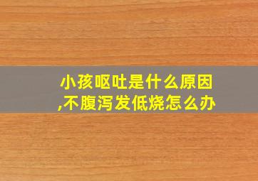 小孩呕吐是什么原因,不腹泻发低烧怎么办