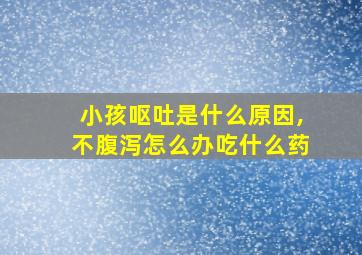 小孩呕吐是什么原因,不腹泻怎么办吃什么药