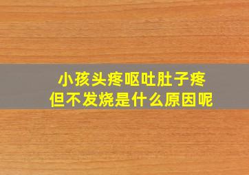 小孩头疼呕吐肚子疼但不发烧是什么原因呢