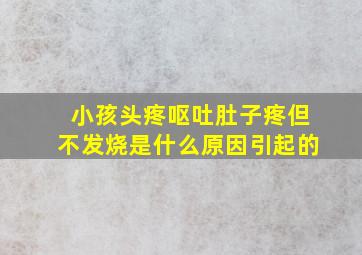 小孩头疼呕吐肚子疼但不发烧是什么原因引起的