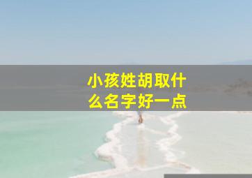 小孩姓胡取什么名字好一点