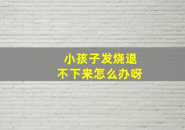 小孩子发烧退不下来怎么办呀