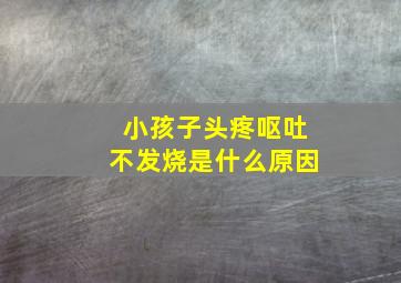 小孩子头疼呕吐不发烧是什么原因