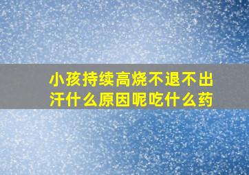 小孩持续高烧不退不出汗什么原因呢吃什么药