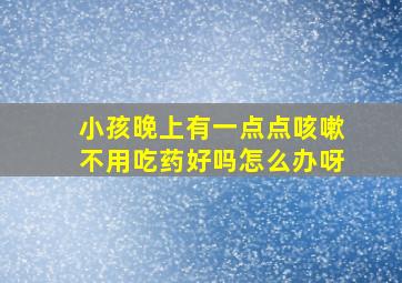 小孩晚上有一点点咳嗽不用吃药好吗怎么办呀