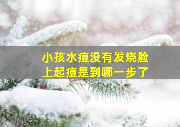 小孩水痘没有发烧脸上起痘是到哪一步了