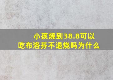 小孩烧到38.8可以吃布洛芬不退烧吗为什么