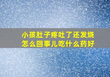 小孩肚子疼吐了还发烧怎么回事儿吃什么药好