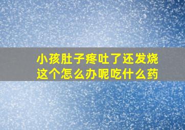 小孩肚子疼吐了还发烧这个怎么办呢吃什么药