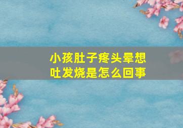 小孩肚子疼头晕想吐发烧是怎么回事