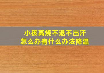 小孩高烧不退不出汗怎么办有什么办法降温