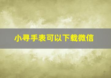 小寻手表可以下载微信