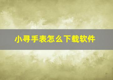 小寻手表怎么下载软件