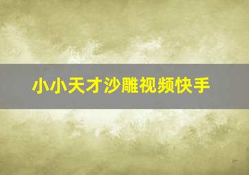 小小天才沙雕视频快手